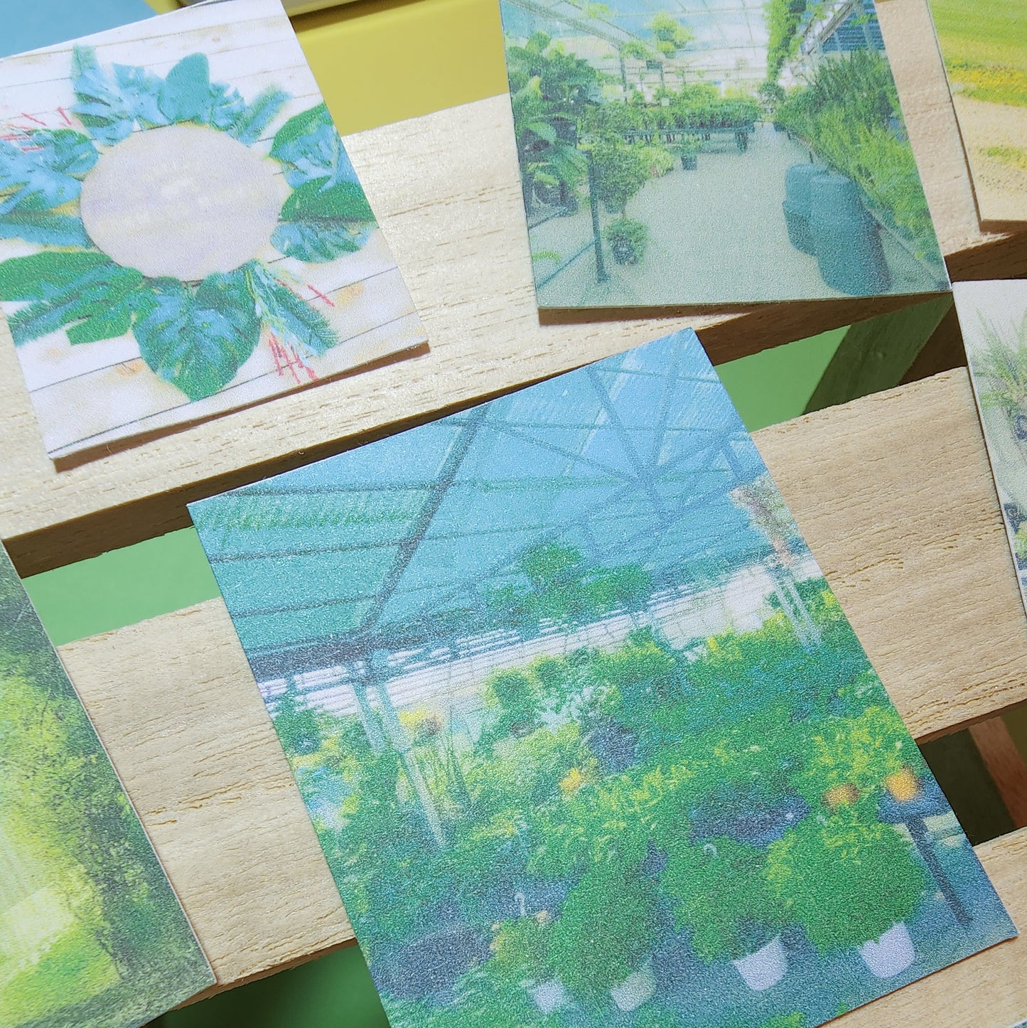 Green Aesthetic Photo Sticker Pack