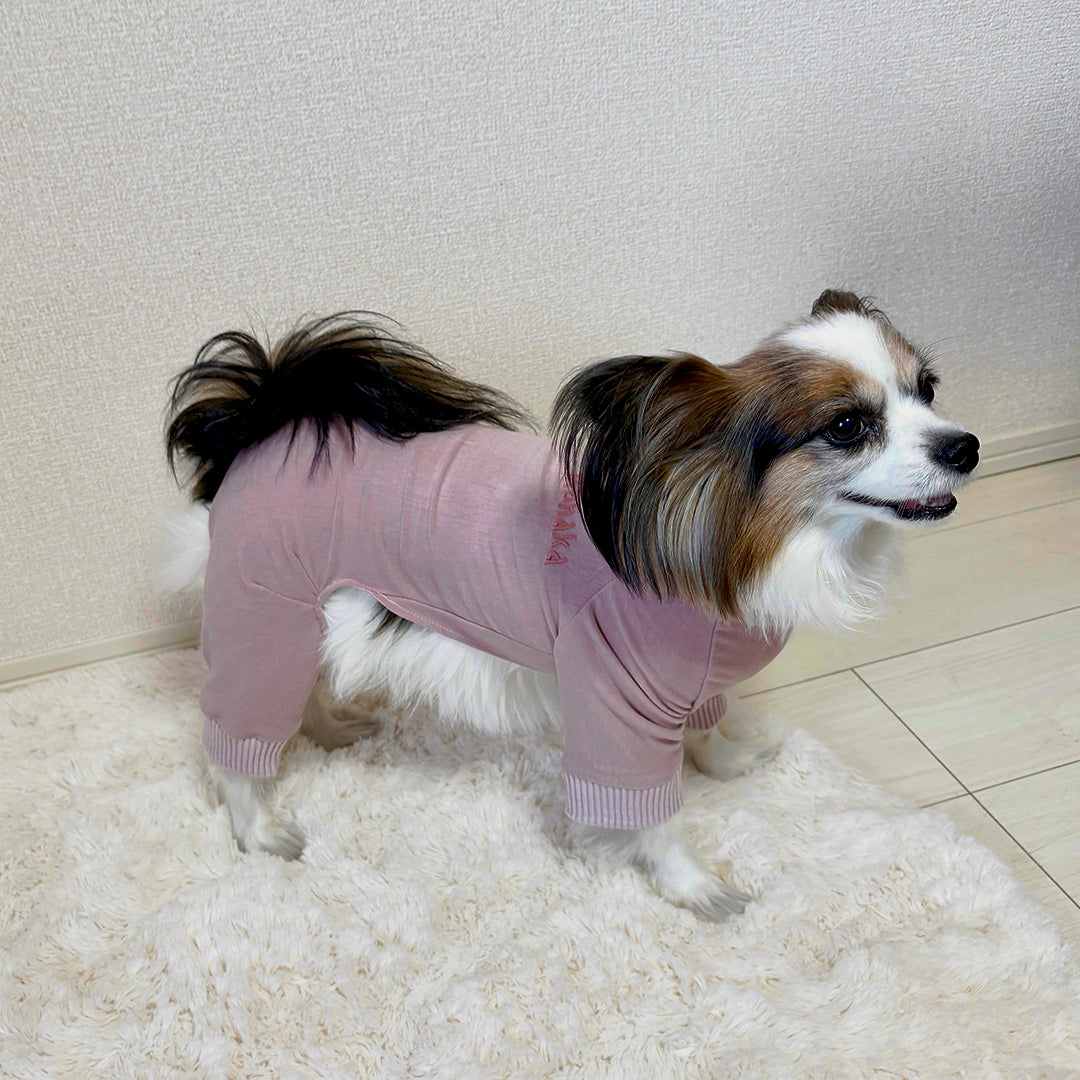 Fruit Decoden Sticker Sheets | Original Design