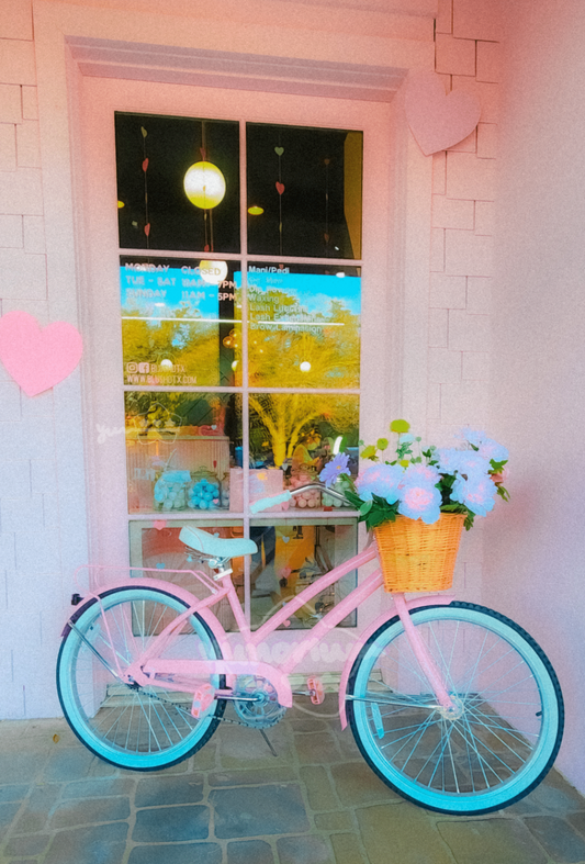 Pink Bicycle Print